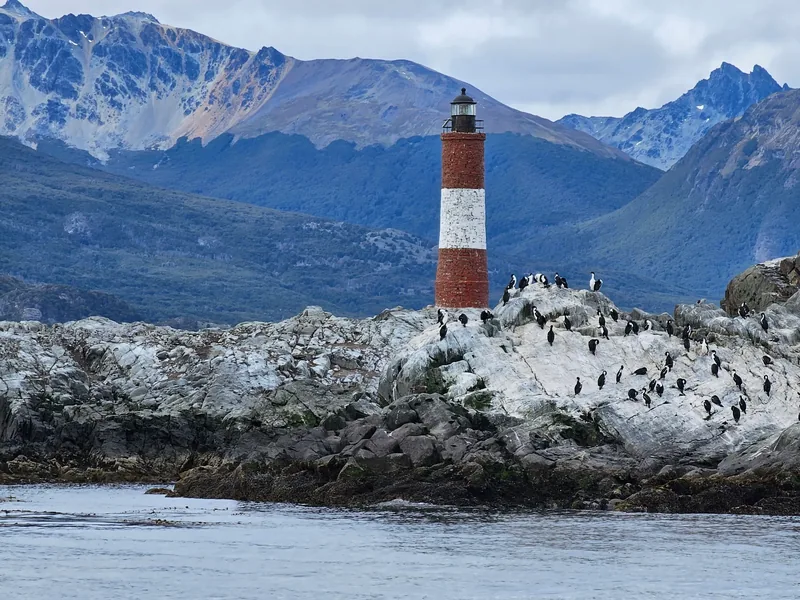 Farol Les Éclaireurs, com aves sobre as rochas.