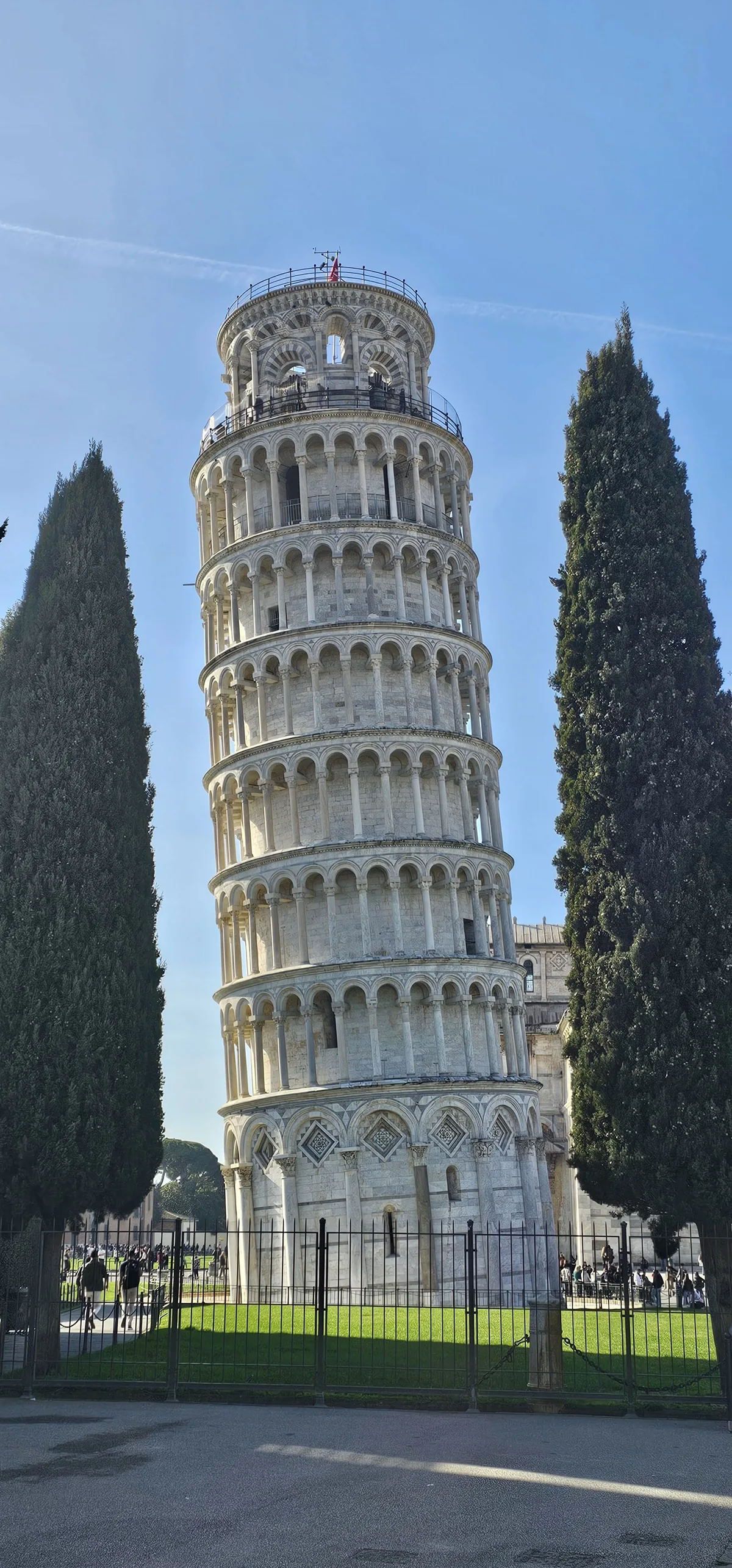 Torre inclinada de Pisa vista de baixo, ladeada por ciprestes.